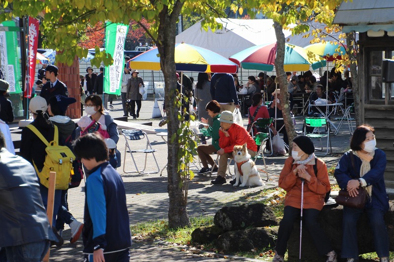 ファイル 141-6.jpg