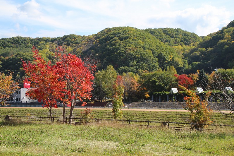 ファイル 141-9.jpg