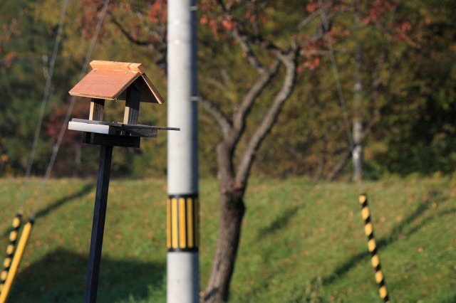 ファイル 146-8.jpg