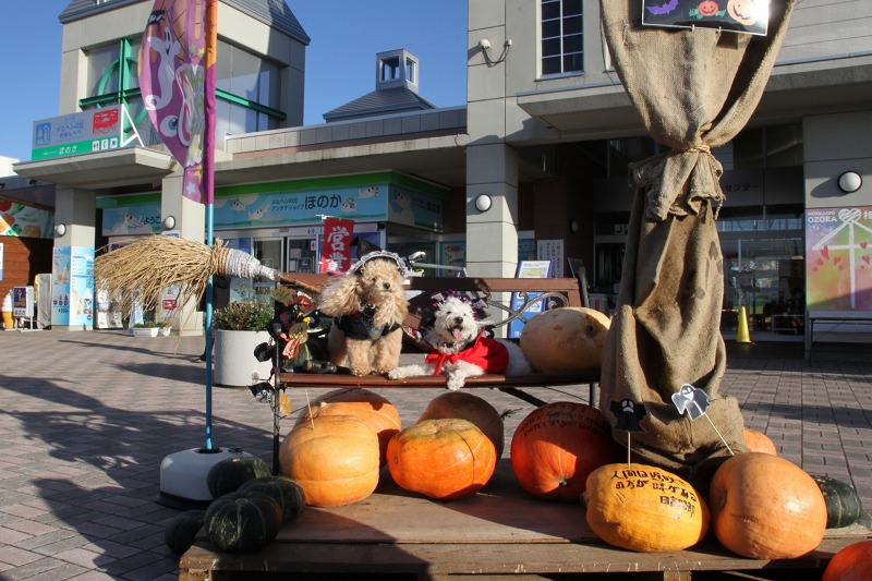 ファイル 147-1.jpg