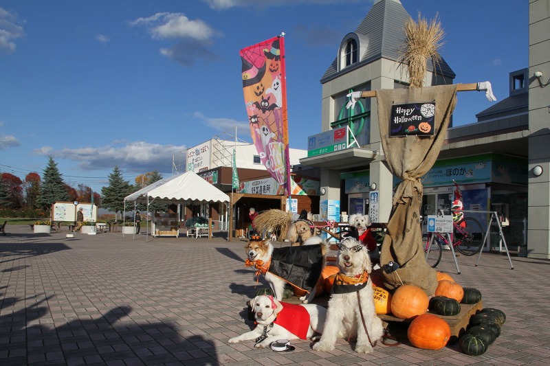 ファイル 147-3.jpg