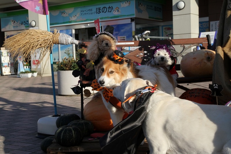 ファイル 147-4.jpg