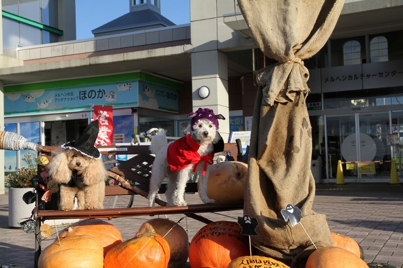 ファイル 147-5.jpg