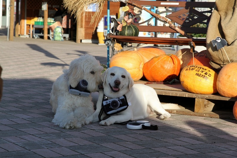 ファイル 147-6.jpg