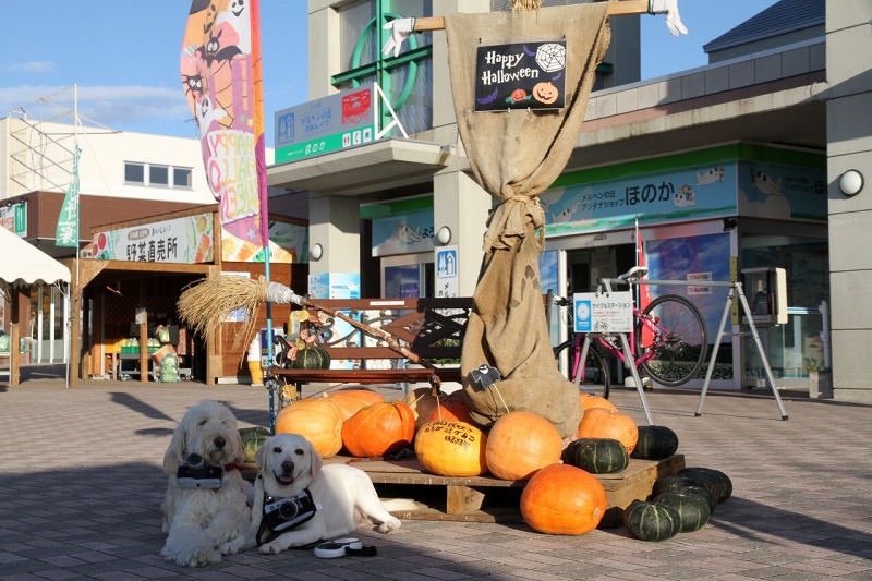 ファイル 147-7.jpg