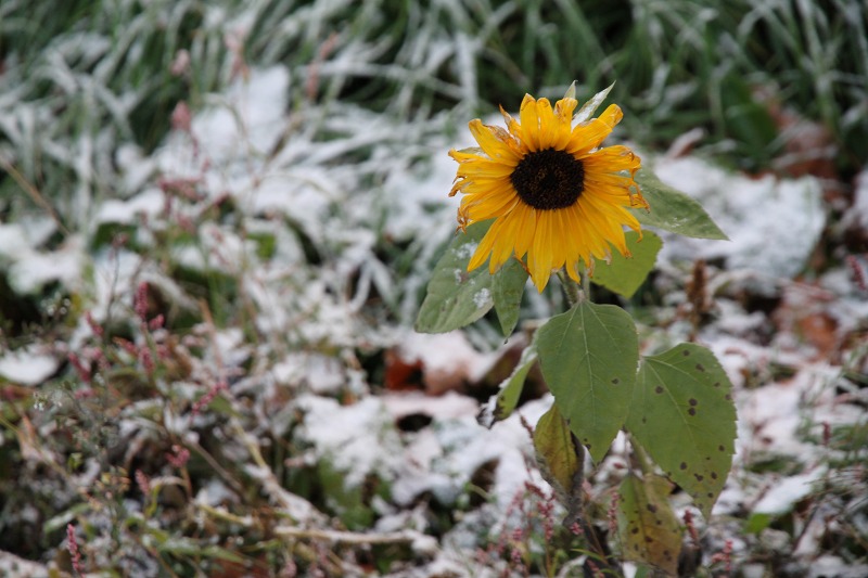 ファイル 148-2.jpg