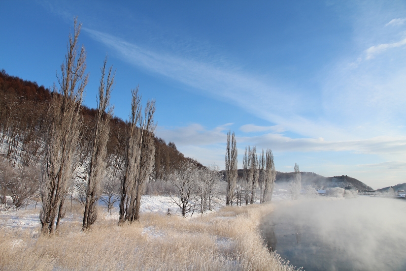 ファイル 15-5.jpg