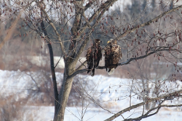 ファイル 17-5.jpg