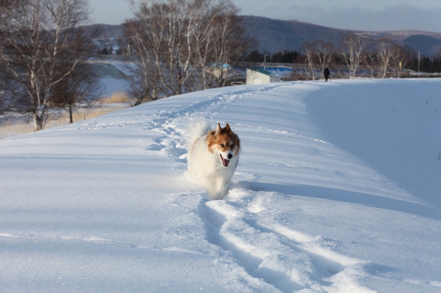 ファイル 17-7.jpg