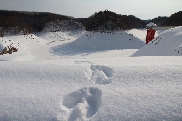 ファイル 19-3.jpg