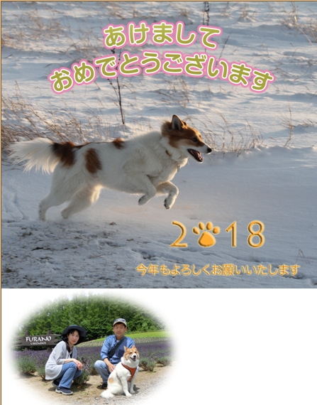 ファイル 2-1.jpg