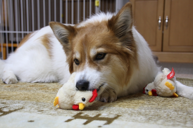 ファイル 2-3.jpg