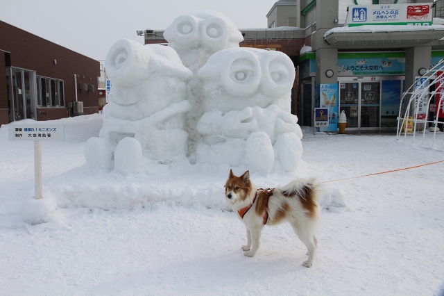 ファイル 20-1.jpg