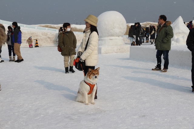 ファイル 20-3.jpg