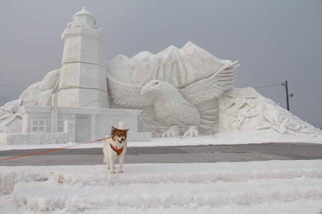 ファイル 20-5.jpg