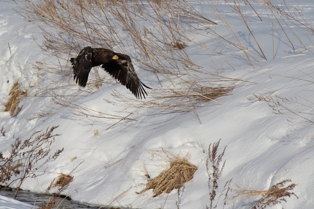 ファイル 22-3.jpg