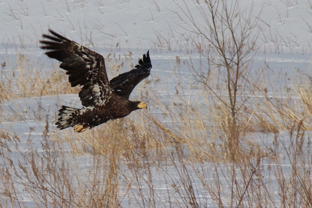 ファイル 22-4.jpg