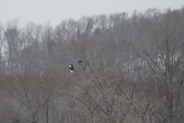 ファイル 23-1.jpg