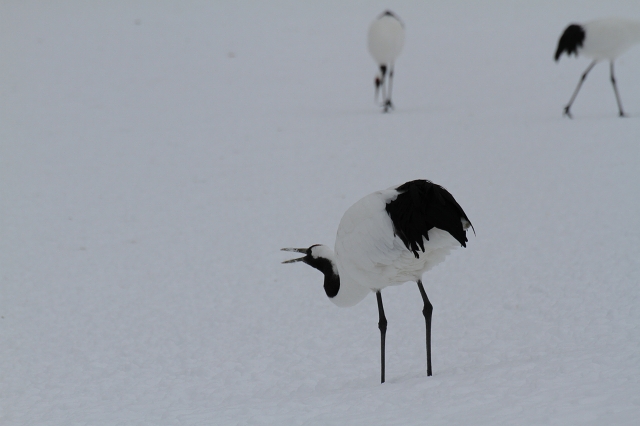 ファイル 23-2.jpg