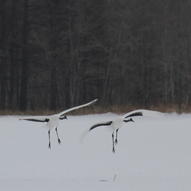 ファイル 23-5.jpg