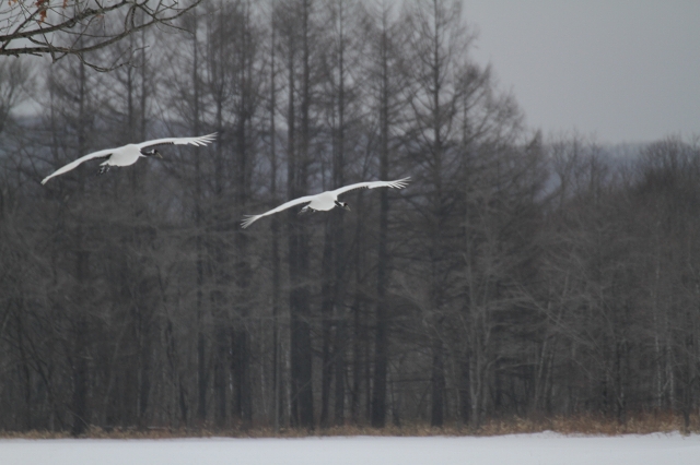 ファイル 23-6.jpg