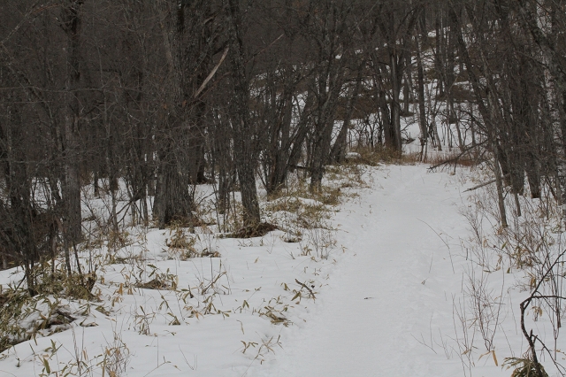 ファイル 24-1.jpg