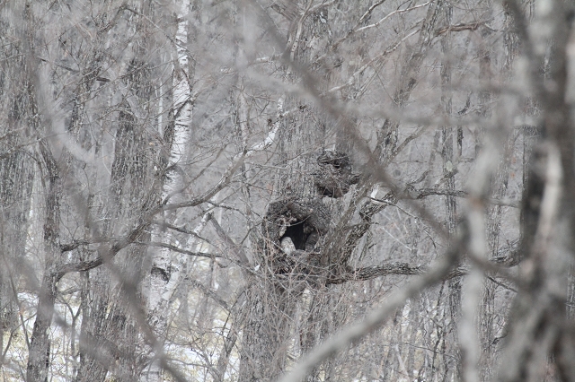 ファイル 24-2.jpg