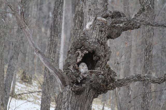 ファイル 24-3.jpg