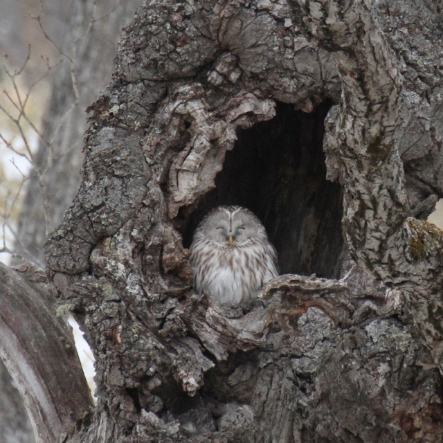 ファイル 24-5.jpg