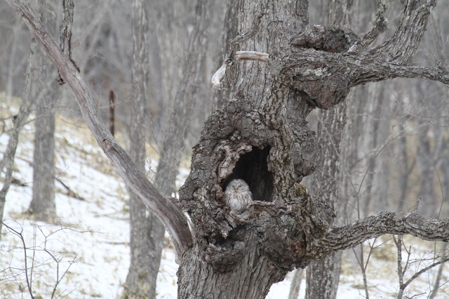 ファイル 24-6.jpg