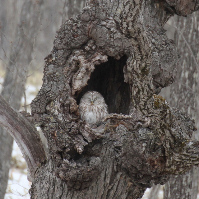 ファイル 24-7.jpg