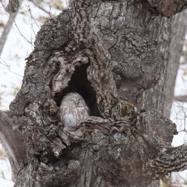 ファイル 24-9.jpg