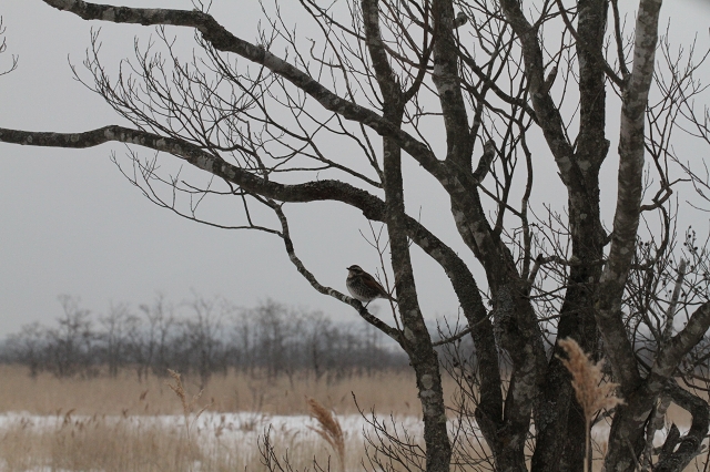 ファイル 25-2.jpg