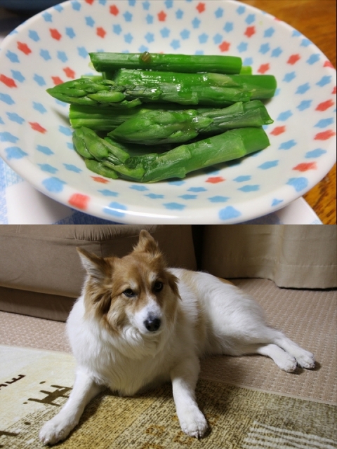 ファイル 27-9.jpg