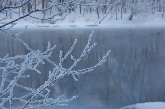 ファイル 28-6.jpg