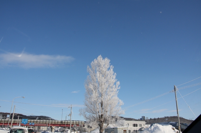 ファイル 28-8.jpg