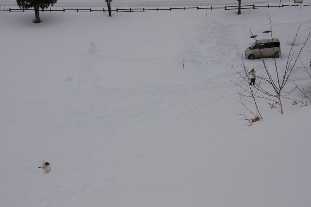 ファイル 29-7.jpg