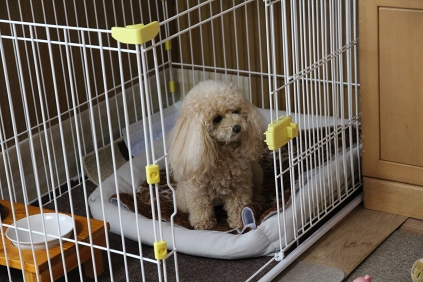 ファイル 3-4.jpg