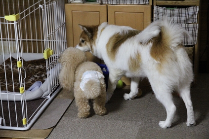 ファイル 3-5.jpg