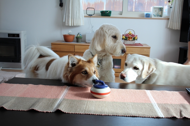 ファイル 30-1.jpg