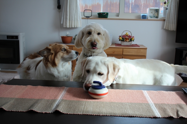 ファイル 30-2.jpg