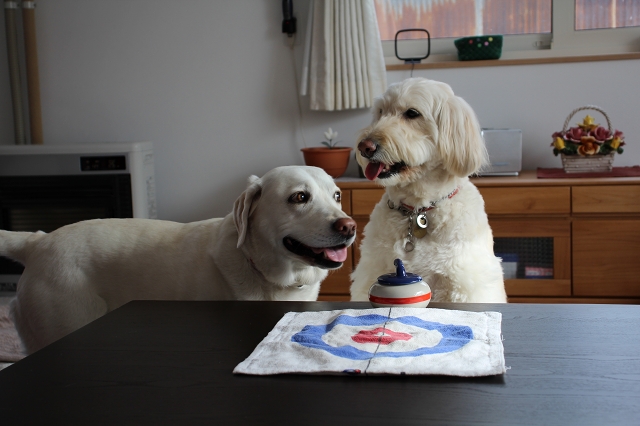 ファイル 30-3.jpg