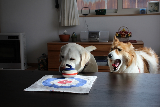 ファイル 30-5.jpg