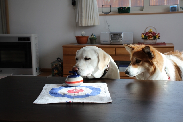 ファイル 30-6.jpg