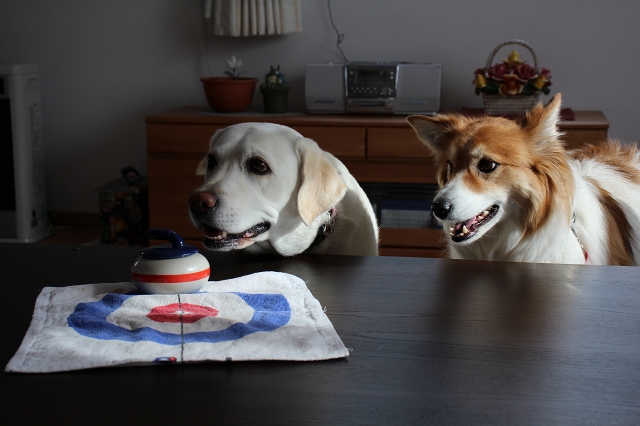 ファイル 30-8.jpg