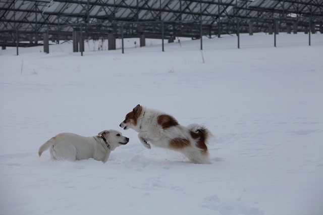 ファイル 31-3.jpg