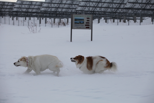 ファイル 31-4.jpg