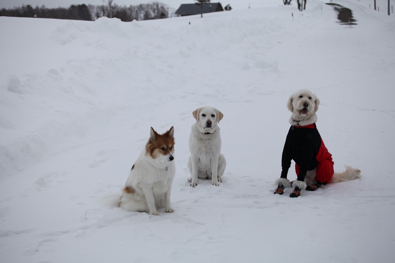 ファイル 31-8.jpg