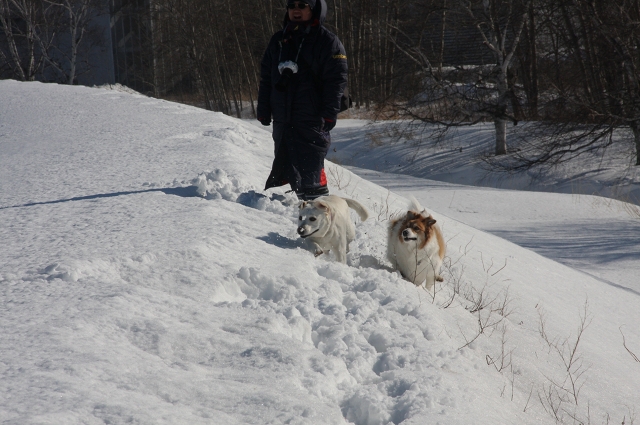 ファイル 35-2.jpg