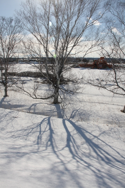 ファイル 35-4.jpg